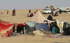 داعش يهاجم جنوب الحسكة وعشرات الشهداء في قصف على مخيم…