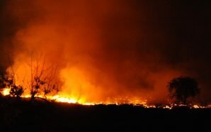 مقتل مواطن وإصابة آخرين جراء حريق جنوبي مدينة دمشق